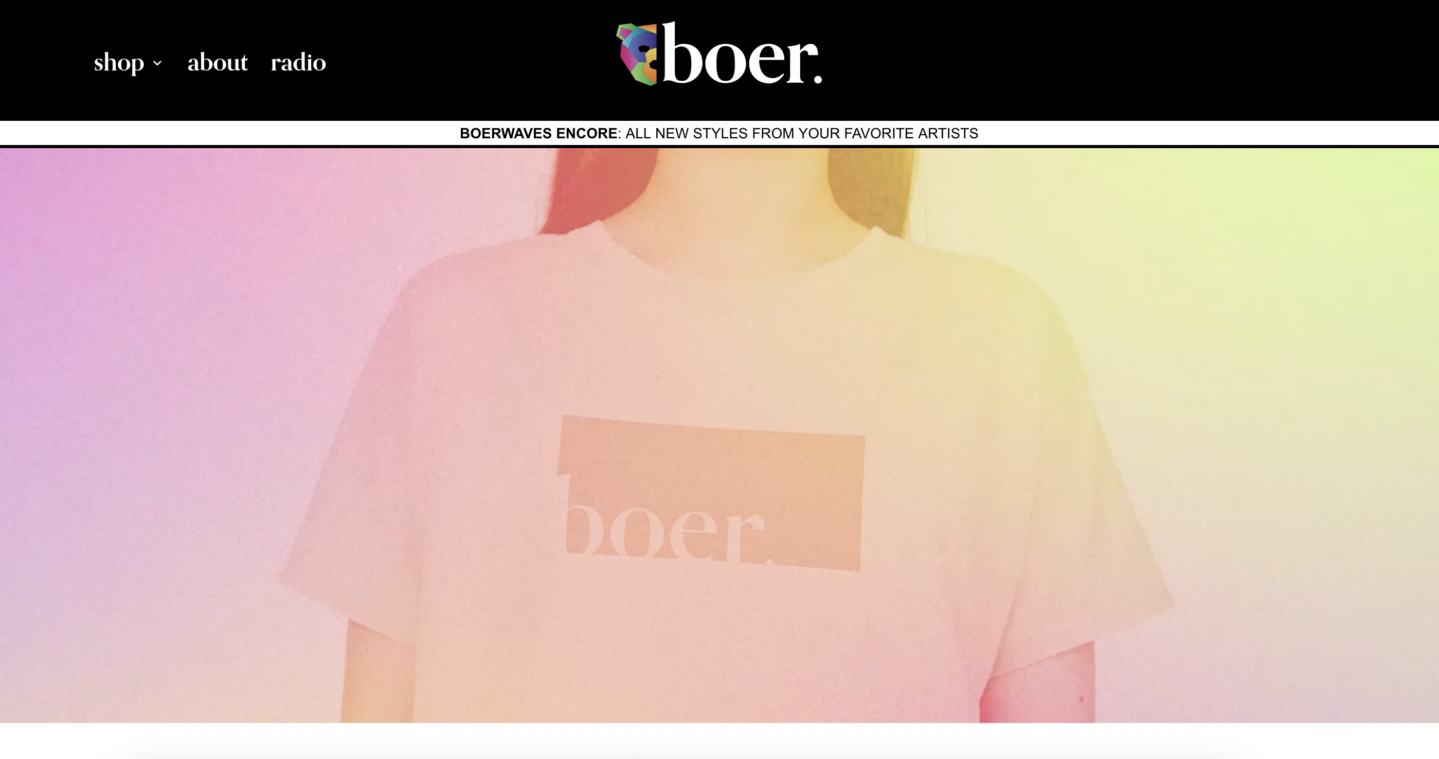 Boer Gallery website